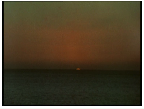 Screen Shot 2020-01-23 at 1.15.19 PM