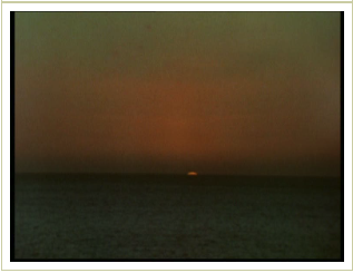 Screen Shot 2020-01-23 at 1.20.43 PM