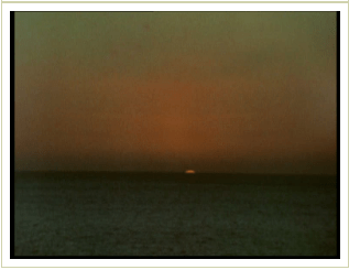 Screen Shot 2020-01-23 at 1.20.43 PM