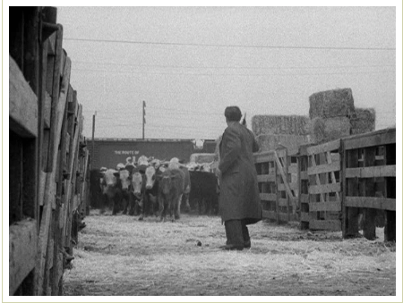 Screen Shot 2020-01-24 at 1.45.40 PM