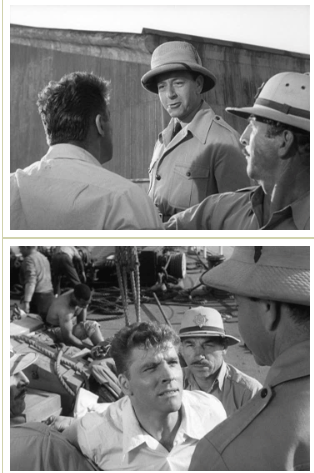 Screen Shot 2020-01-29 at 3.28.54 PM