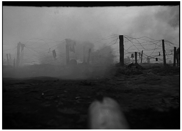 Screen Shot 2020-02-03 at 11.50.23 AM