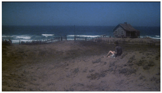 Screen Shot 2020-02-03 at 11.56.26 AM