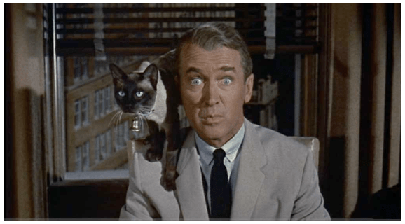 Screen Shot 2020-02-03 at 4.23.54 PM